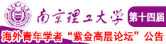 骚货粗暴免费视频南京理工大学第十四届海外青年学者紫金论坛诚邀海内外英才！